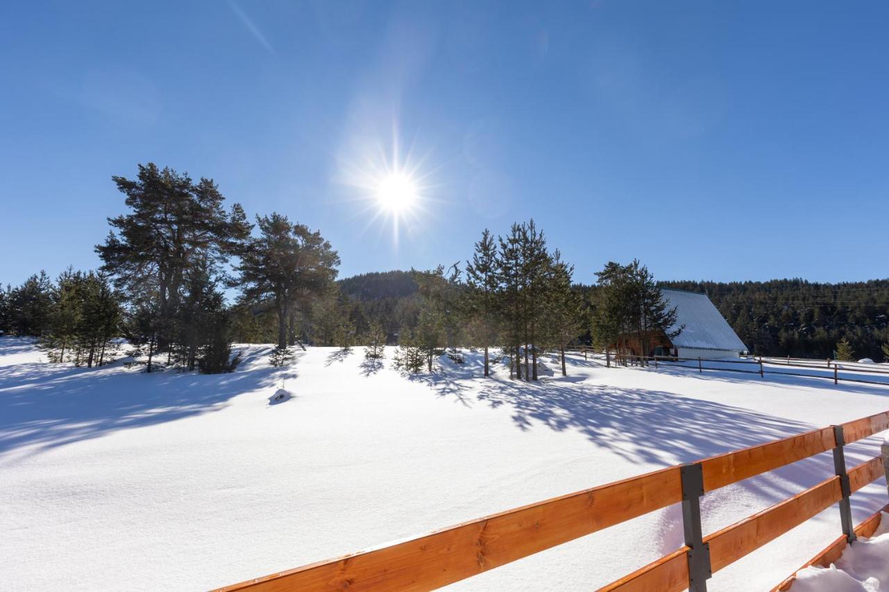 Vila Hanovi Zabljak Bagian luar foto