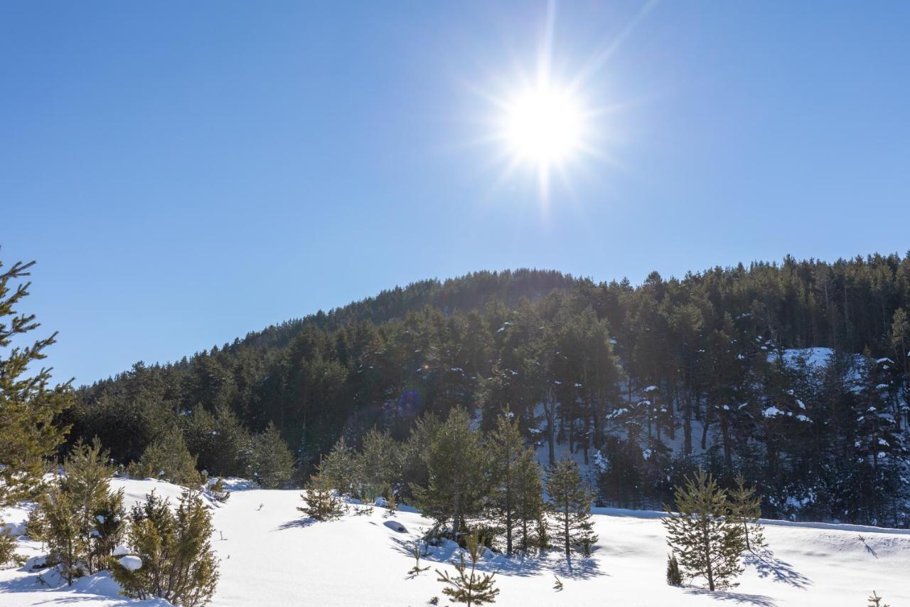 Vila Hanovi Zabljak Bagian luar foto
