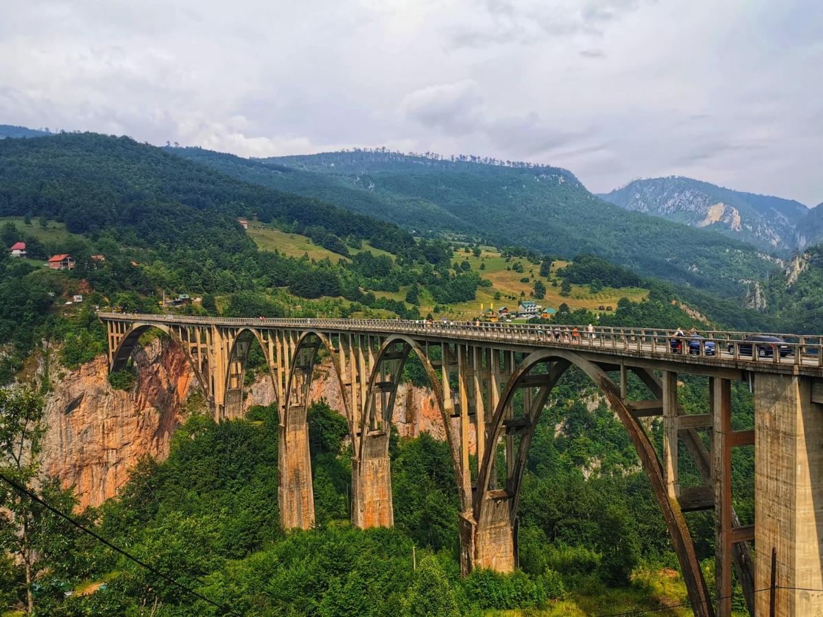 Vila Hanovi Zabljak Bagian luar foto