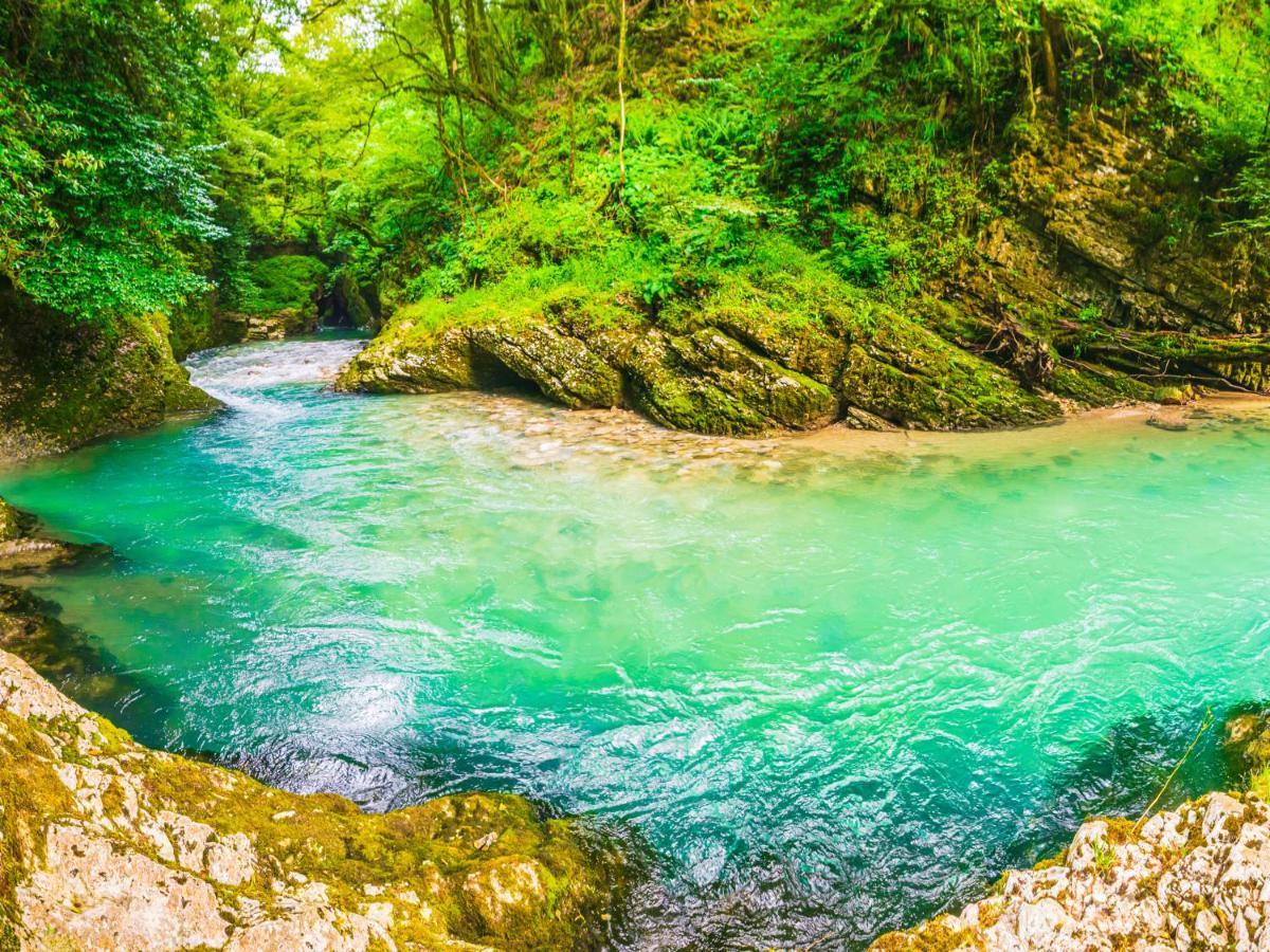 Vila Hanovi Zabljak Bagian luar foto
